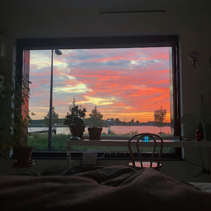 看朝鲜人男女日逼大片
